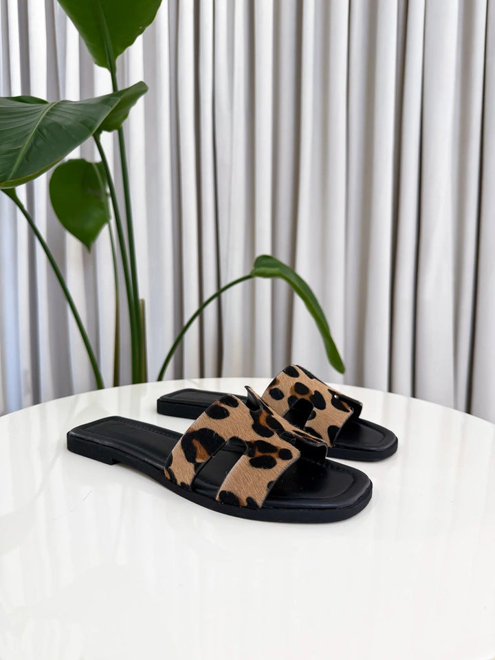 Aris™ | Edizione Limitata