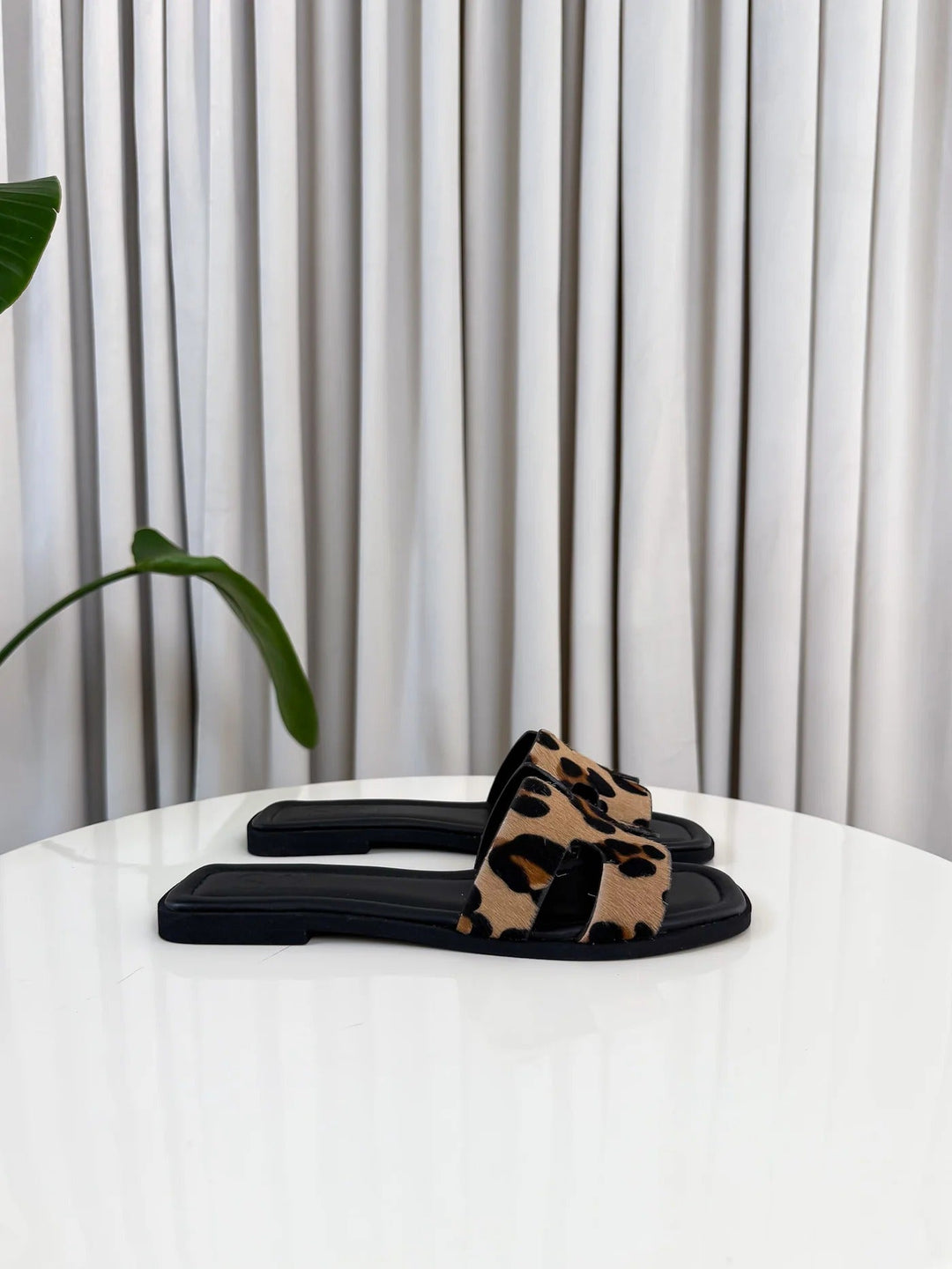 Aris™ | Edizione Limitata